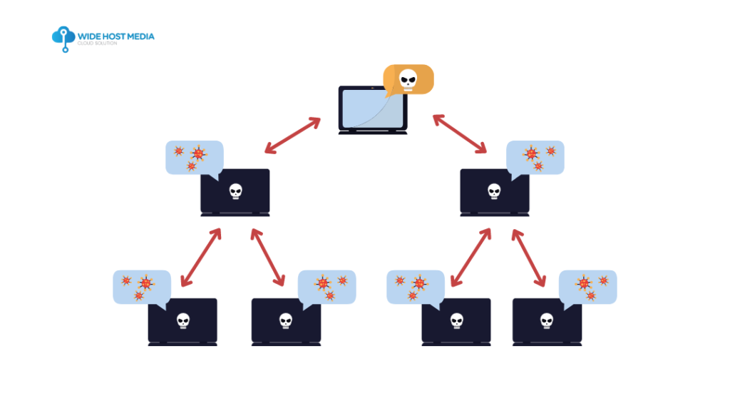 Botnet hierarchical network topology
